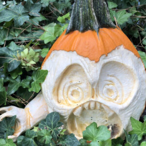 pumpkin-carving-class-22